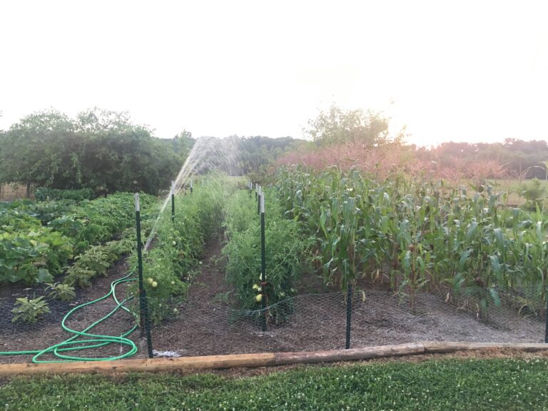 Composting Animal Manure: Complete Guide to Using Chicken, Cow, and Horse Manure in Your Garden